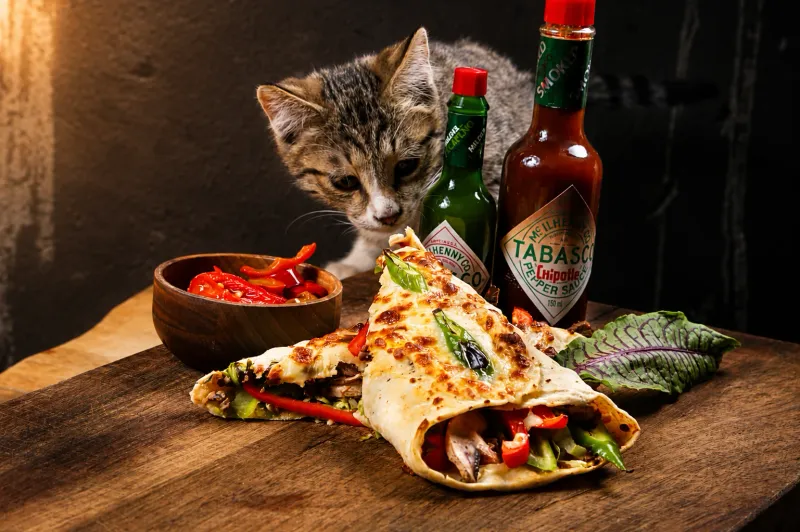 Commercial product photography by Tavakoli Studio in Istanbul — photo 4